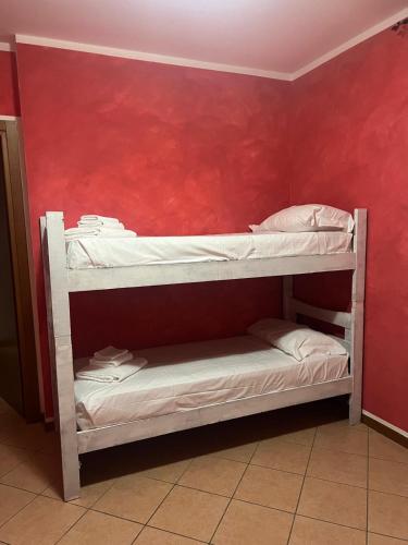 two bunk beds in a room with a red wall at Albergo quatro pini in Pozzolengo