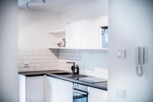Η κουζίνα ή μικρή κουζίνα στο Apartmenthouse STERN