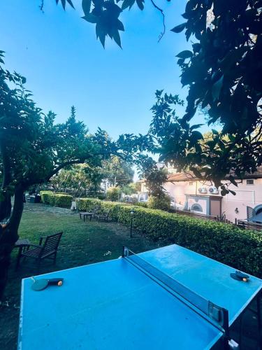 Πισίνα στο ή κοντά στο Villetta Capodimonte