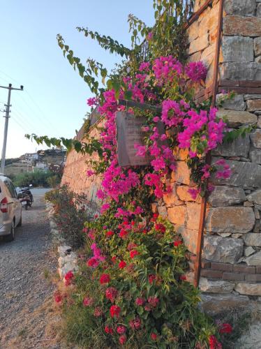 a bunch of flowers on a brick wall at Koruwoodenhouse Alanya Gazipaşa in Gazipasa