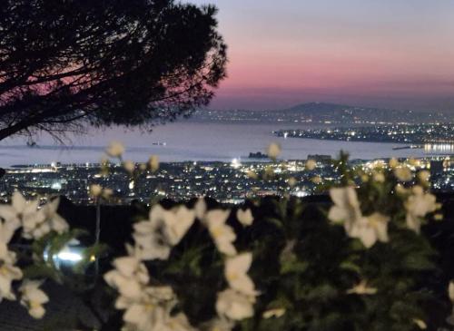a view of a city at night with white flowers at La Vigna del Vento in Casola di Napoli