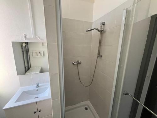 a bathroom with a shower and a sink at Le petit jardin de Bellune in Niort