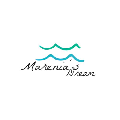 Sijil, anugerah, tanda atau dokumen lain yang dipamerkan di Karibuni - Marenia's Dream