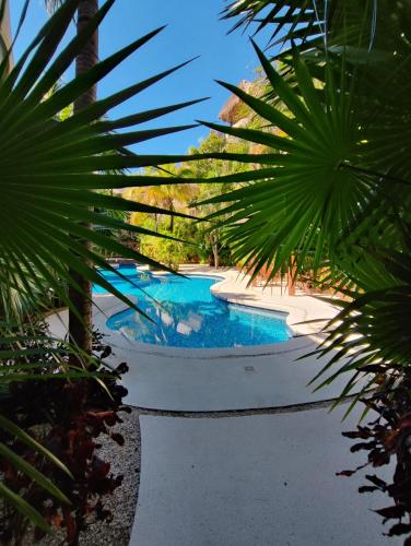 a swimming pool with palm trees around it at Aldea Zama Penthouse with Private Rooftop in Tulum