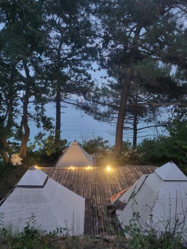Φωτογραφία από το άλμπουμ του Ecoclub στη Βάρνα