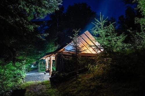 a cabin in the middle of a forest at night at Tarninowe Wzgórze in Kunkowa