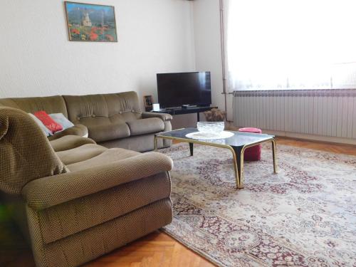 a living room with a couch and a coffee table at Apartmani Ceca Blaznava in Topola