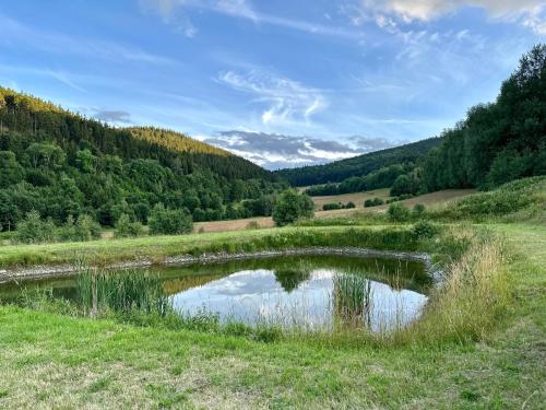 a pond in a field with trees in the background at Domki w górach '' Zielone Wzgórza '' okolice Karpacza in Karpacz