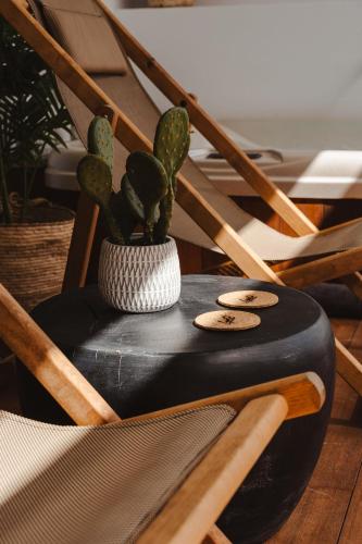 a cactus in a vase sitting on top of a chair at Legato Spa Suites With Private Pool in Naxos Chora