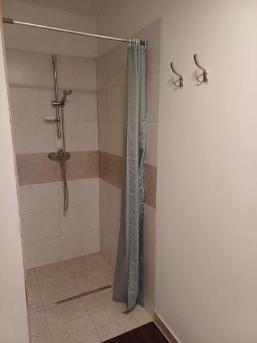 a shower with a shower curtain in a bathroom at Cazare Rasnov in Râşnov