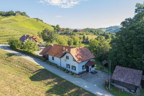 an aerial view of a white house with a roof at Family Friendly House Marija - Happy Rentals in Gradišča