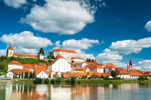a town on a hill next to a body of water at Family Friendly House Marija - Happy Rentals in Gradišča