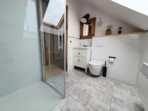 a bathroom with a toilet and a glass shower at Domek na Kaszubach 34-1 - Ostoja Bukowo in Borowy Młyn
