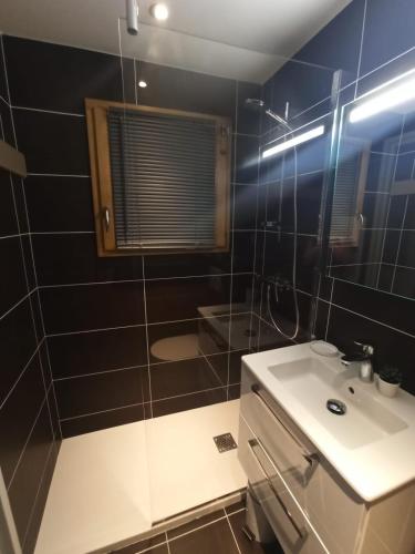 une salle de bain avec un lavabo, une douche et des toilettes dans l'établissement Le Cocon des Carroz, au centre de la station et proximité des pistes, apt 4 pers, à Arâches-la-Frasse