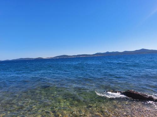 Apartmani Eva