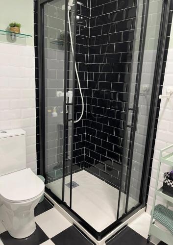 a bathroom with a shower with black tiles at Apartamento Victoria in Potes