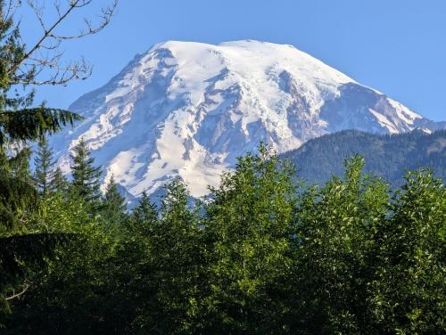 a snow covered mountain with trees in the foreground at Bugling Elk Bungalow in Packwood