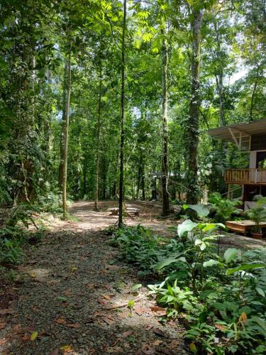 Un jardín fuera de Cool Waters Jungle Hostel