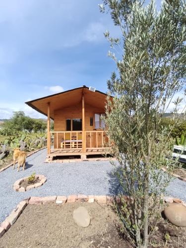 a house with a dog in front of it at Glamping Entre Nopales, Villa de Leyva in Sáchica