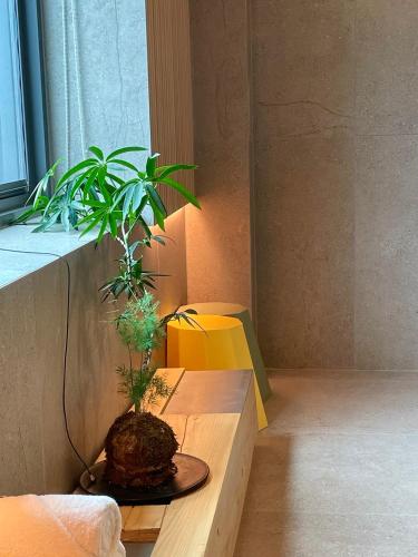 a potted plant sitting on a table in a room at PBr7 Hotel Unusual Stay in Gyeongju