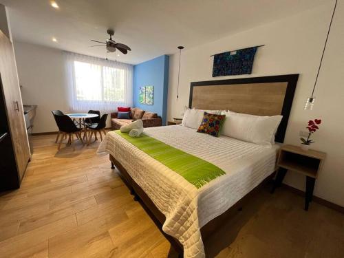 Dk7-Estudio en Zona Viva