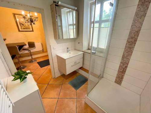 un bagno con doccia, lavandino e specchio di Monteurwohnungen - Pension Am Schloss a Teistungen