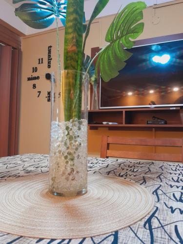 a vase with a plant in it on a table at Villa Lainez in Villa Mercedes