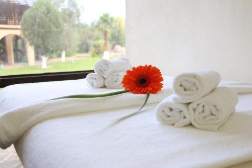 a pile of towels and a red flower on a bed at SANTA CECILIA LA MORA HUASCA in Huasca de Ocampo