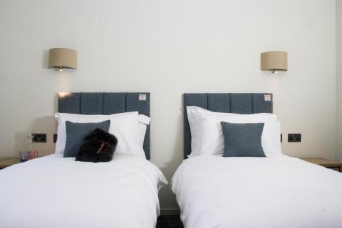 a black cat sitting on top of two beds at Captain's Rest with Hot Tub and Sauna in Dunvegan