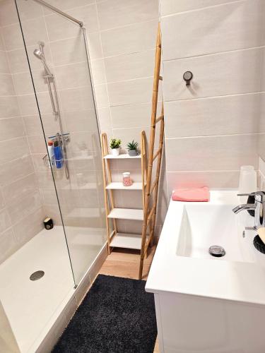 une salle de bain avec douche et lavabo dans l'établissement Doudoute's Cosy Home, à Perpignan