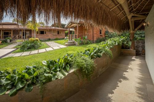 a row of plants on a wall in a yard at PETRA SANTA HOTEL BOUTIQUE in Pereira