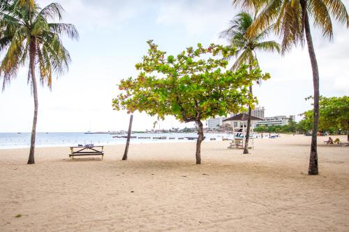 a beach with palm trees and a picnic table on it at Malia Dreamers Paradise in Ocho Rios