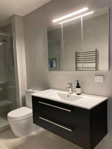 a bathroom with a sink and a toilet and a mirror at Two Bedroom Guest House in Remuera Auckland in Auckland