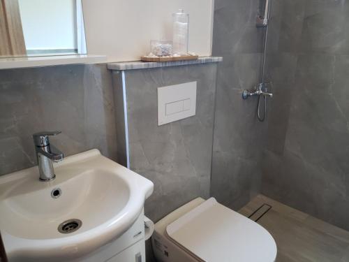 a bathroom with a sink and a toilet at River house - Esperanza in Ulcinj