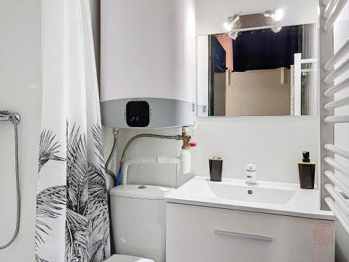 une salle de bain avec toilettes, lavabo et miroir dans l'établissement Studio lumineux proche centre-ville et thermes, balcon, parking, animaux acceptés - FR-1-451-211, à Lamalou-les-Bains