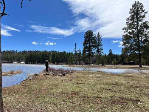 a person standing on the shore of a river at The Bluejay Cabin at Munds Park, AZ! in Sedona
