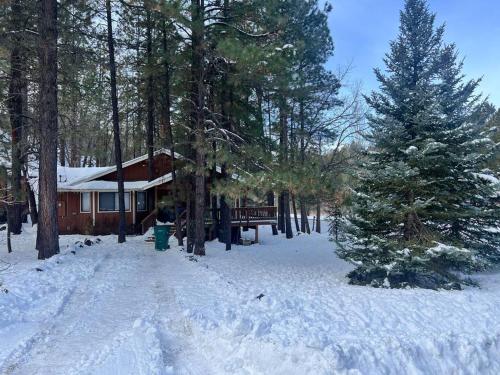 a house with a christmas tree in the snow at The Bluejay Cabin at Munds Park, AZ! in Sedona