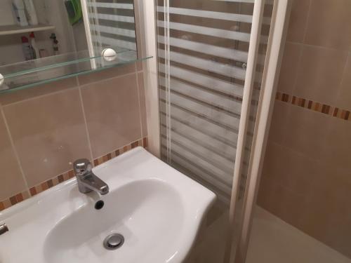 La salle de bains est pourvue d'un lavabo blanc et d'une douche. dans l'établissement Port Leucate: T2 RDC 4 Pers proche port avec terrasse, parking sécurisé, TV, lave-linge, plancha - FR-1-798-3, à Leucate