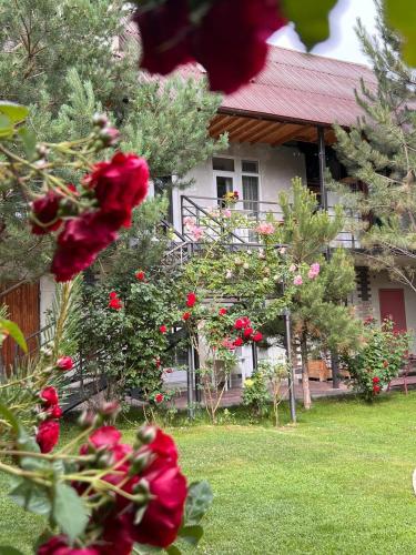 Zahrada ubytování Podsolnukhi Guest House