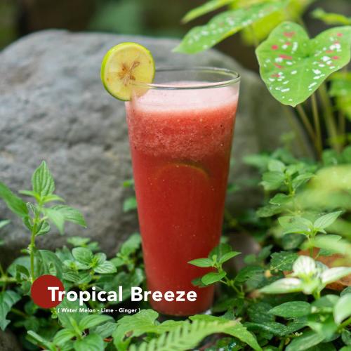 a red drink with a slice of lime in a glass at Aranka Tempasan in Sangyang
