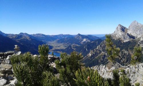 a view from the top of a mountain at Apart Lechtraum in Stanzach