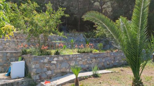 a garden with a stone retaining wall and plants at Villa Luna Home in Vourliótai