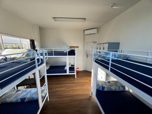 a room with three bunk beds in it at Backpackers Central Hamilton in Hamilton