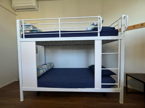 a couple of bunk beds in a room at Backpackers Central Hamilton in Hamilton