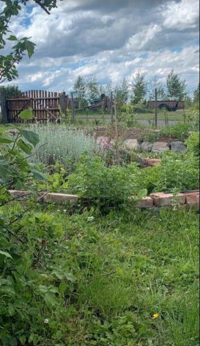 a garden with grass and plants in a field at Ferienwohnung auf dem Bauernhof in Krastel