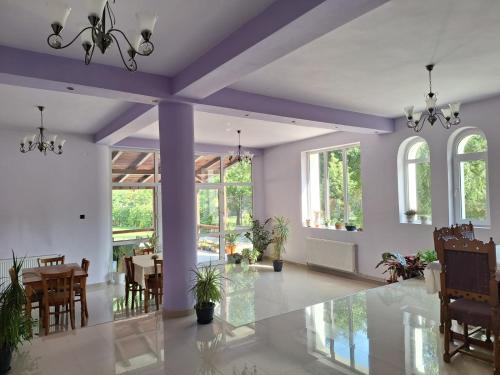 a dining room with a table and chairs at Casa Astoria in Băile Herculane