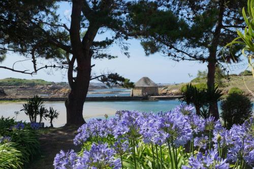 a garden with purple flowers in front of a body of water at Rubis in Troguéry