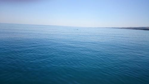 a view of a large body of water at La Quiete in Montenero di Bisaccia