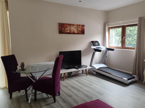 Fitness centrum a/nebo fitness zařízení v ubytování A Beautiful countryside apartment on killarney Road