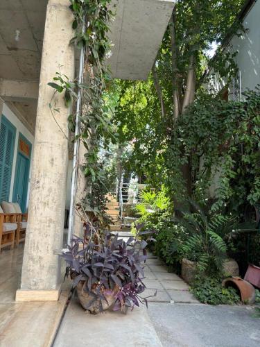 a garden with plants and trees and a building at NICOSIA EAGLE EYE in North Nicosia